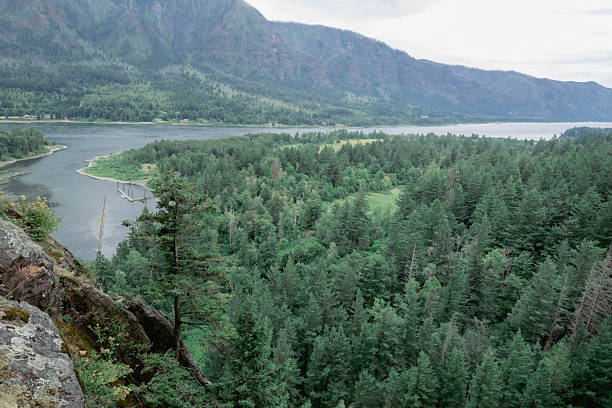 View across the Columbia River Valley, a lush landscape filled with dense pine forests and rocky mountain ridges of the Cascades, as seen from high up the Beacon Rock State Park on an overcast summer day. Taken at Beacon Rock State Park, a public recreation area and a massive basalt rock column in the Columbia River Gorge.