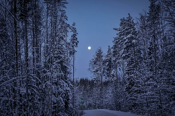 Beautiful snow scenery in Hokkaido