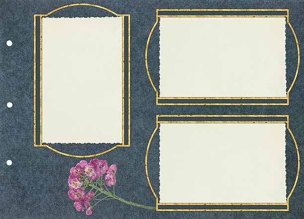 Page for stories. Photo album layout with empty photo frames. Scrapbook composition with floral elements. Page from an old album. Dried pressed geranium flowers. For invitations und greetings.