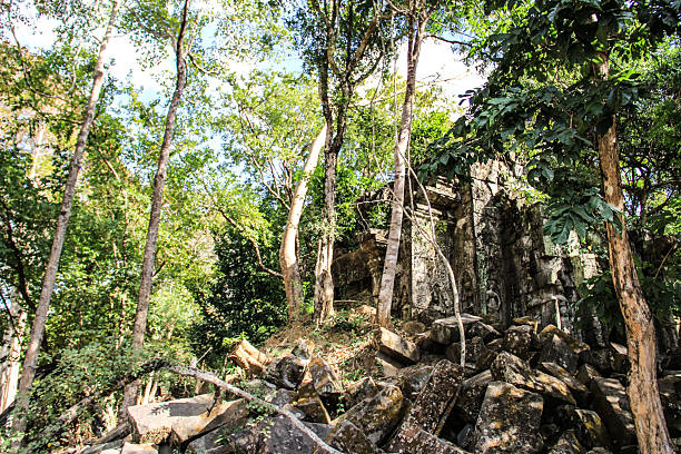 Ta Phrom, Angkor wat