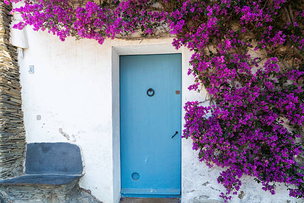 A Mediterranean home with blue front door and red bougainvillea