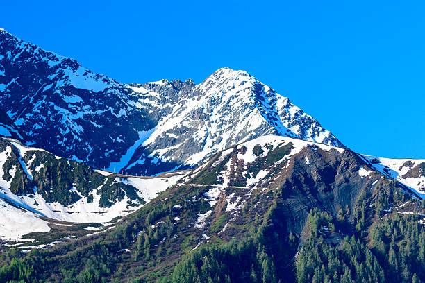 Mont Lachat's rugged summit rises above steep slopes, with lingering patches of spring snow and scattered evergreen forest under a vivid blue sky. Bright sunlight accentuates the sharp textures and dramatic alpine contours.