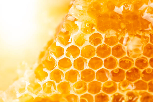 istock Golden Honeycomb Macro with Fresh Natural Honey 2255348681