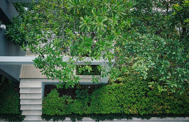 tree lined pedestrian path integrated into modern development, sustainable landscaping, eco urban design, green public space, environmental wellness concept, bangkok thailand