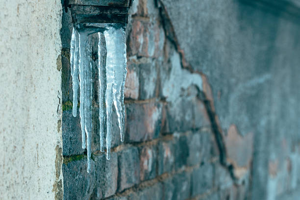 Icicles hanging on a rock in winter