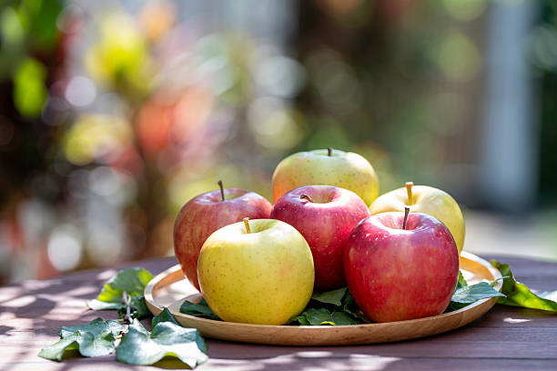 Basket filled with fresh red and green apples outdoors in natural sunlight, symbolizing harvest, organic fruit, healthy eating, and farm to table lifestyle.