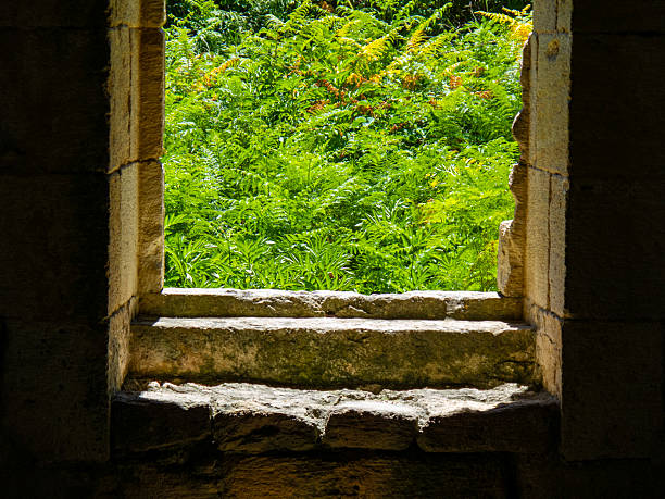 Looking at the green through the window