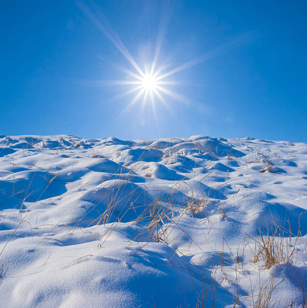 wide snowbound plain under a sparkle sun, winter outdoor evening scene