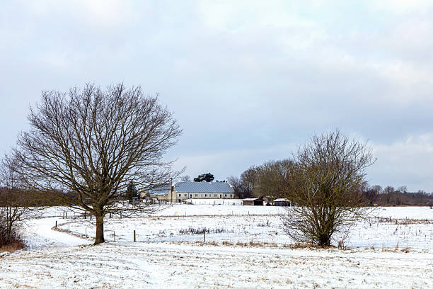 Winter field with bare trees and distant farmhouse
