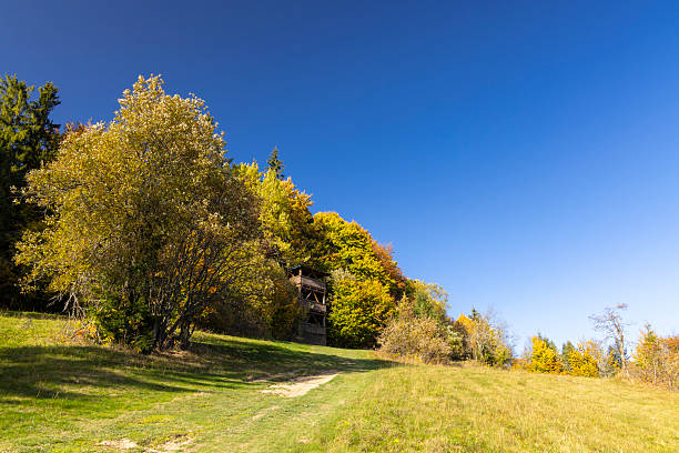 Observation tower standing among colorful autumn trees on a grassy hill