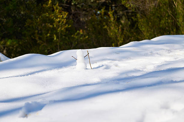 A serene winter landscape features a small snowman made with sticks in a snow-covered field. Soft sunlight highlights the snow mounds against a backdrop of evergreen trees.