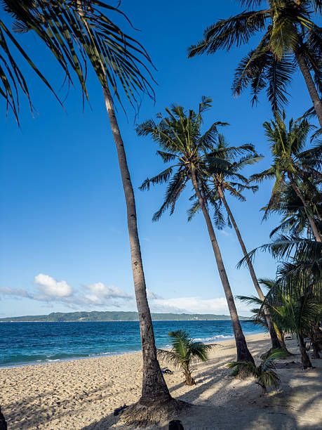 Idyllic Boracay Island, Philippines. Towering palm trees cast long shadows on pristine white sand, bordering the calm turquoise ocean and distant lush island under a clear, sunny atmosphere. Perfect