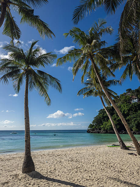 Idyllic Boracay beach in the Philippines, featuring towering palm trees swaying over pristine white sands and tranquil turquoise waters. Small boats gently float in the distance under a sunny,