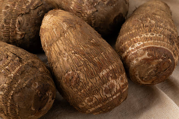 istock Taro roots placed on a piece of cloth 2255383478