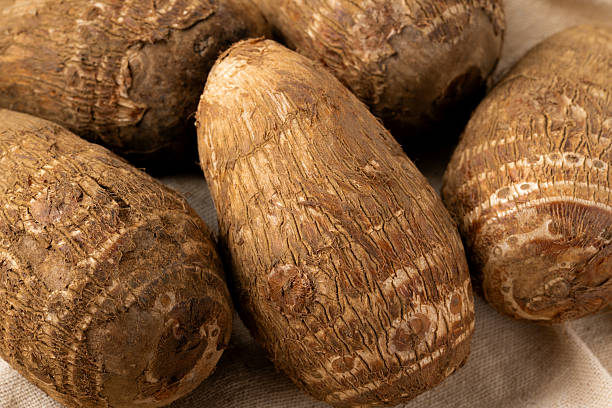 istock Taro roots placed on a piece of cloth 2255383555