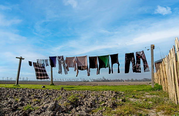 Washing on line to dry on a sunny, windy day in the Netherlands