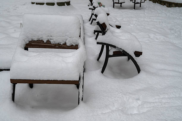 Snow-covered wooden and metal park benches in a quiet public park during winter. Outdoor seating covered with fresh snow, showing cold weather, seasonal atmosphere, and an empty urban park scene with no people.