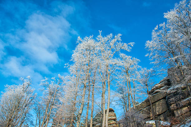 The winter in The Stołowe Mountains, southwestern Poland.