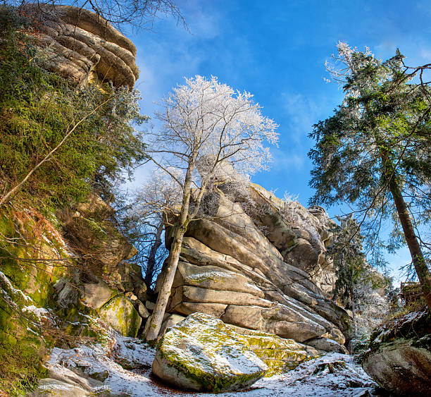 dramatic layered rock formations and a frost-covered tree under a bright blue winter sky. Scenic natural landscape with crisp winter atmosphere.Vertical panoramic square photo.