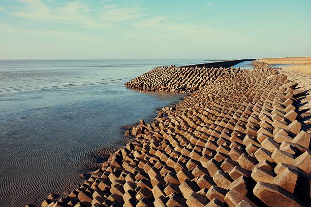 This serene coastal landscape captures a rugged breakwater formed by interlocking tetrapod concrete blocks jutting into the calm waters of the Yangtze River estuary in Shanghai, China, with gentle waves lapping against the sandy shore and distant mountains on the horizon under a soft blue sky with wispy clouds. The earthy tones and geometric patterns evoke themes of coastal engineering, environmental protection, and urban-nature harmony, ideal for travel, infrastructure, or ecological visuals in editorial, advertising, or documentary projects.