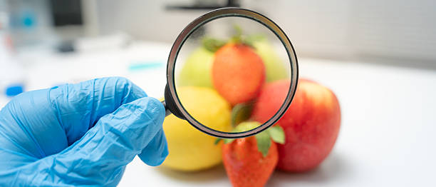 Scientist use magnifying glass to check physical occur from chemical on fruit and vegetable residues in laboratory. inspect the concentration of chemical residues, standard, find prohibited substances