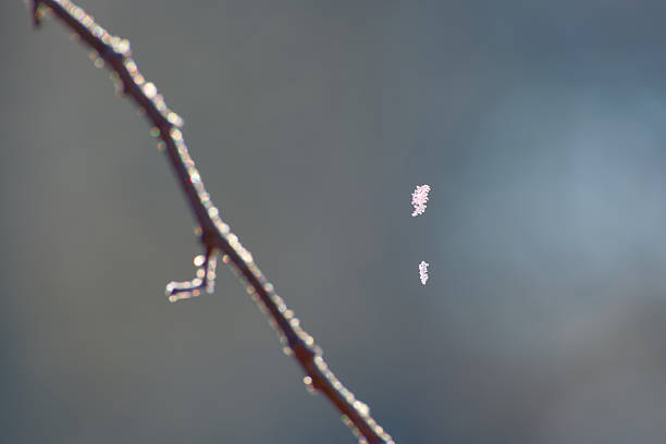 Abstract winter detail with ice crystals and copy space