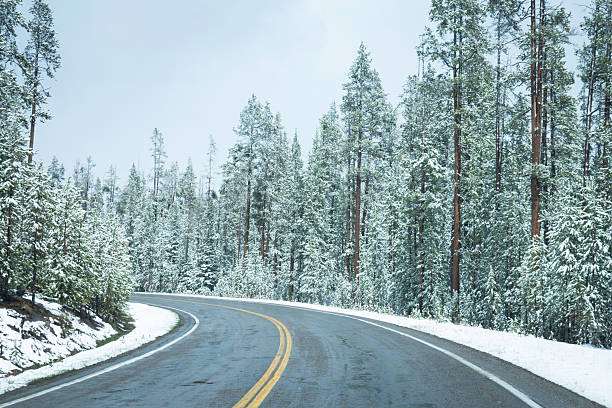 istock Spring time driving in wyoming mountains 2255410281