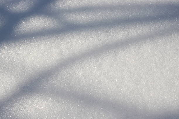 Winter snow blankets the ground, forming a smooth white surface. Shadows from nearby trees create lines and patterns across the snow under bright sunlight.