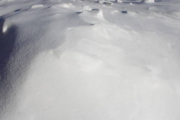 Snow blankets the ground, creating a smooth and even surface. Sunlight casts soft shadows, highlighting the contours of the snow. The scene is quiet and bright, typical of winter days.