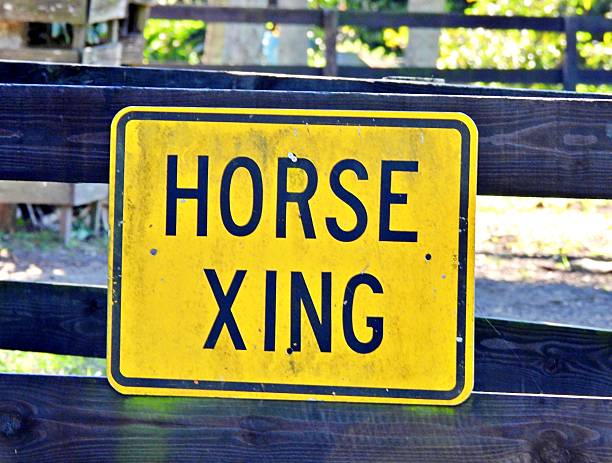 'HORSE XING\
