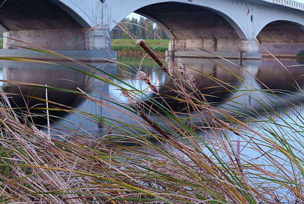 Concrete arch bridge spanning a calm river seen through tall dry reeds and grass. Scenic landscape with architectural and natural elements