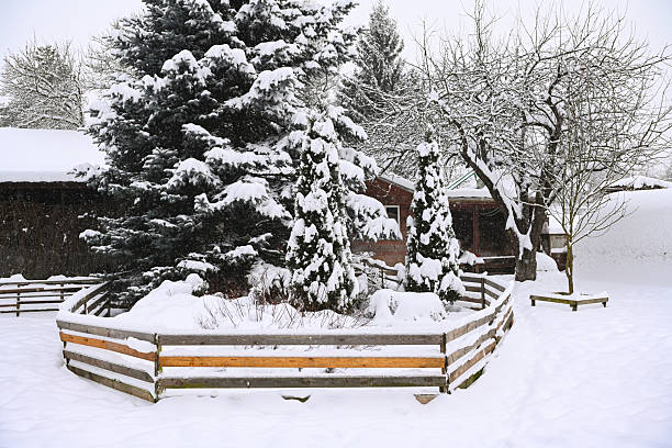 Winter in the garden