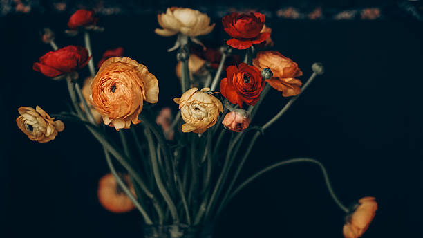 Close up shot of beautiful orange and red ranunculus bouquet. Visible petal structure. Detailed bright patterns of flower buds. Top view, background, copy space for text.