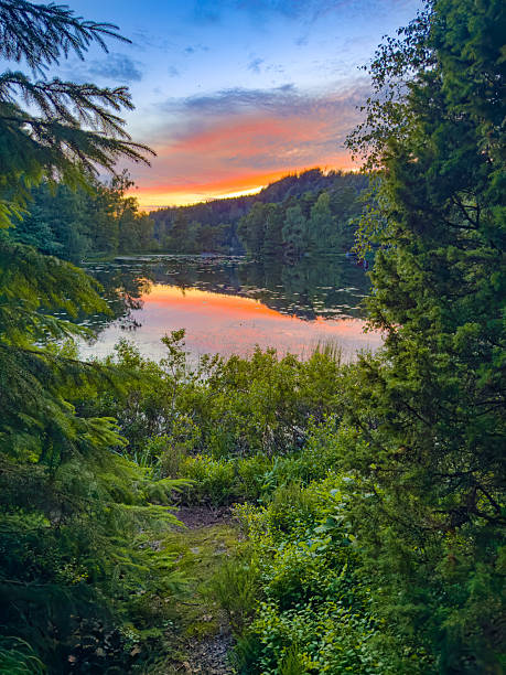 Denmark lake sunset reflection, calm forest shoreline at dusk with colorful sky