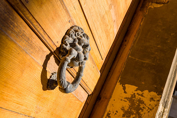 Close-up of an ornate metal lion head door knocker mounted on a weathered wooden door, illuminated by warm sunlight. The image highlights the texture of the aged wood and the intricate details of the knocker in a rustic setting.