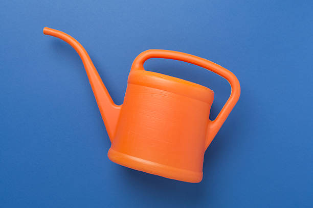 istock Watering can on color background, top, view 2255432227