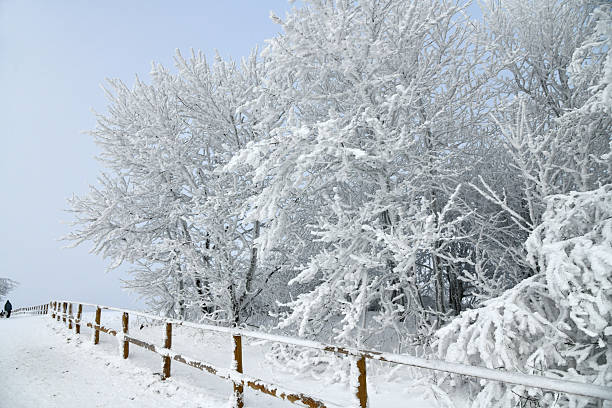 Wanderung auf der Wasserkuppe in der Rhön bei tollem Wetter mit viel Schnee