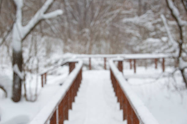 Blurred winter landscape. Wooden bridge in a winter forest.