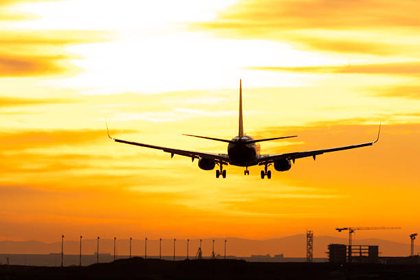 Plane lands at an airfield at the sunset