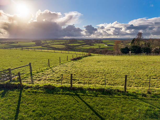 istock Winter sunshine over Cornish farmland in January 2255439017