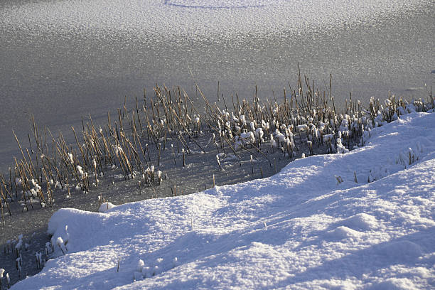 Snow scene by the water