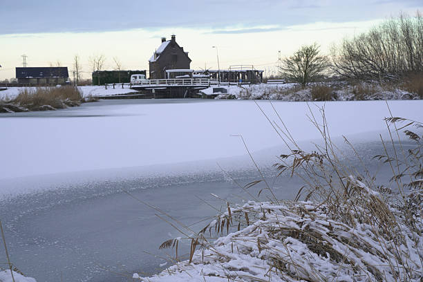 Snow scene of reeds by the river
