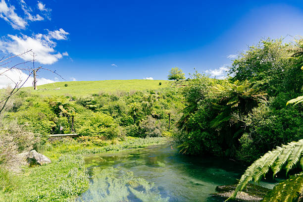 Waikato River near Hamilton, New Zealand