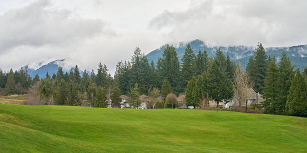 This is a photo of Coquitlam residence on the mountains.