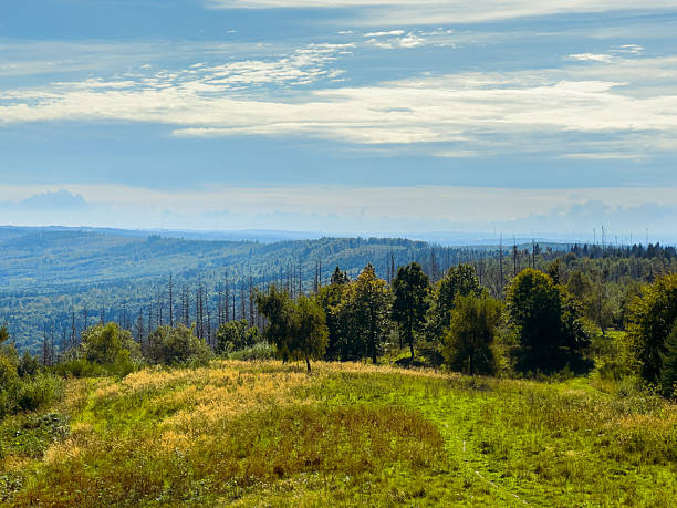 istock Breathtaking landscape view showcasing rolling hills, lush greenery, and a tranquil sky above a sprawling forest in the early afternoon light 2255446326