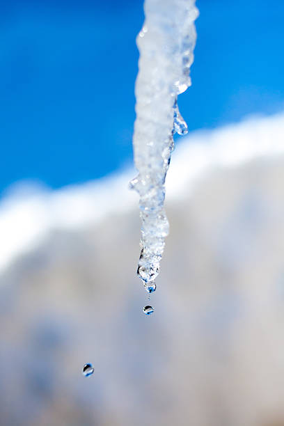 Close up view of a large icicle dripping as it melts
