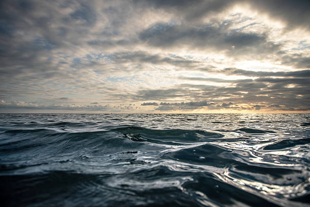 A wide seascape at sunset shows gentle waves rolling toward the horizon under a dramatic, cloud-filled sky. The glistening water reflects light, conveying calm, wonder, and endless possibility.