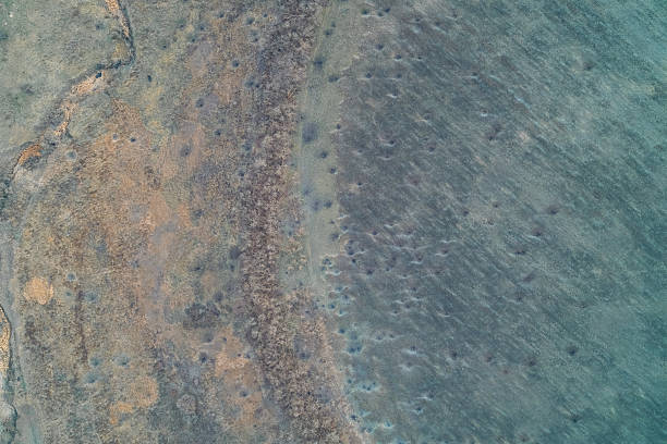 Abstract pockmarked ground texture with craters, porous soil pattern, surreal biological background, aerial drone shot top view