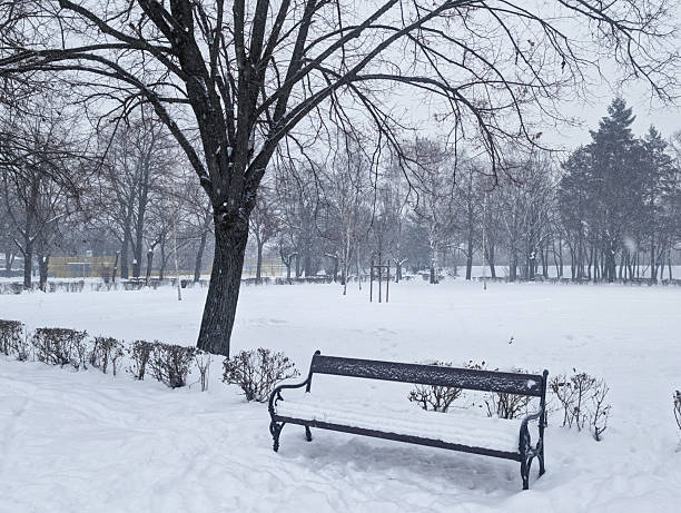 A snow-covered park bench sits alone in a quiet, winter landscape in Budapest, Hungary. The heavy snowfall blankets the ground and trees, creating a peaceful and serene scene that evokes feelings of tranquility and cold solitude.