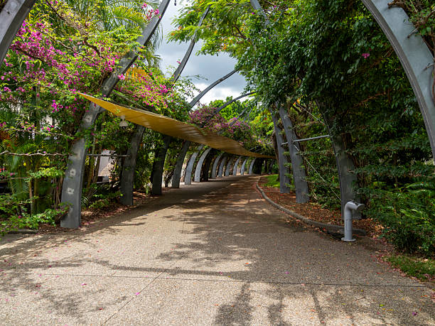 The Arbour Walkway in Brisbane, Australia